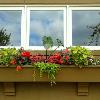 Windowbox for part sun
