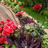 Summer deck seat planter
