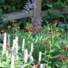 A colorful mixture of Helenium, Monarda, Agastache, and hosta
