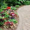 Perennial and annual bed with coordinating salvia mixture and coralbells
