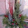 Holiday container garden with blue berried cedar
