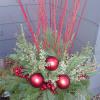 Holiday pot with Cardinal dogwood, Oregonia, White pine, Berry and Ornament picks