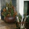 Rustic holiday container garden
