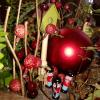 X-mas  fairy garden decorations
