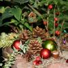 x-mas fairy garden decorations
