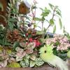 Easter/Spring fairy garden decorations
